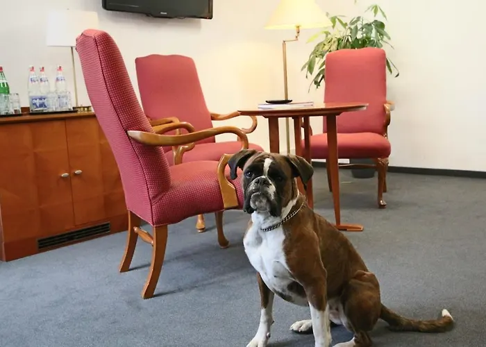 Hotel Auf Der Rotsch Isenbügel
