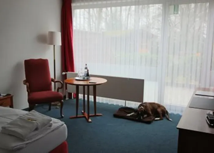 Auf Der Rotsch Isenbügel